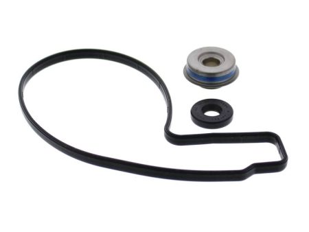 Vertex Pistons Water Pump Rebuild Kit Online